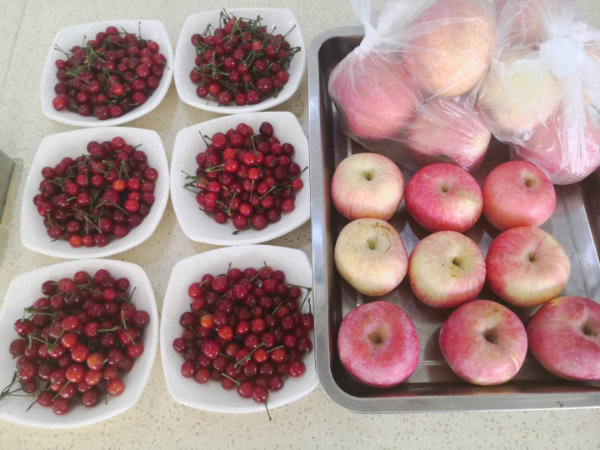 圖片13_副本.jpg 圖片13_副本.jpg